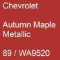 Preview: Chevrolet, Autumn Maple Metallic, 89 / WA9520.